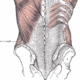 Rolfing for Low Back Pain in Santa Monica